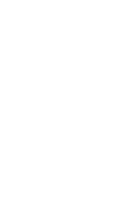 Wit Logo